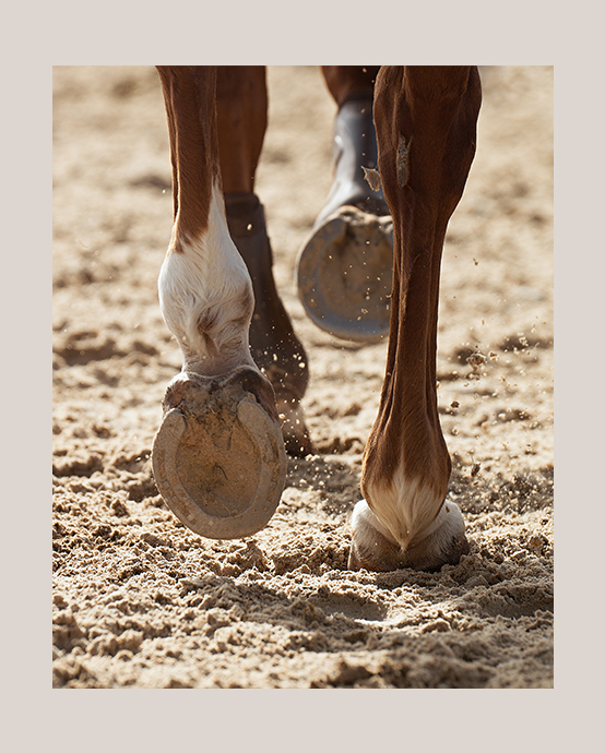 Horse Riding - Sandblu Resort | Santorini