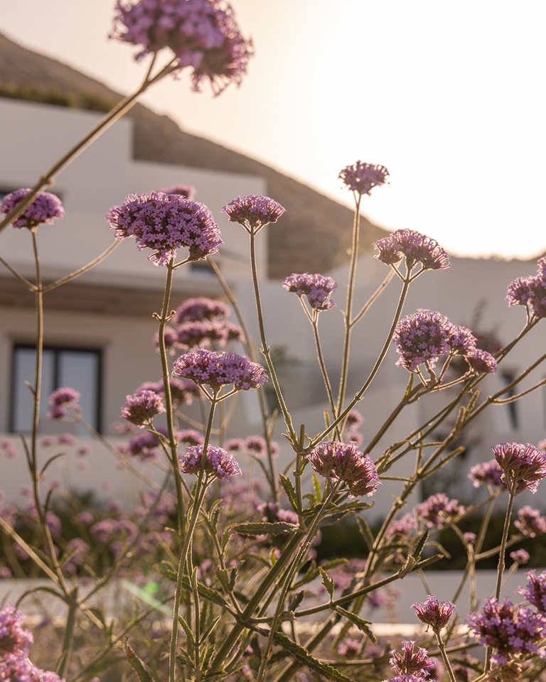 Sandblu yoga laruga getting to santorini